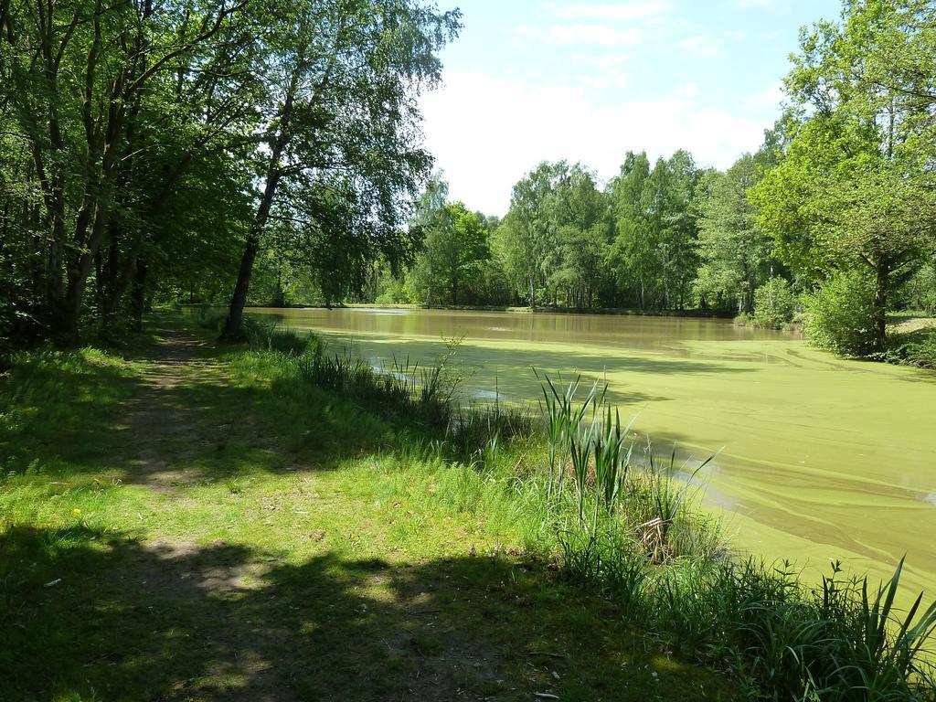 Apartment Gerken Wieda